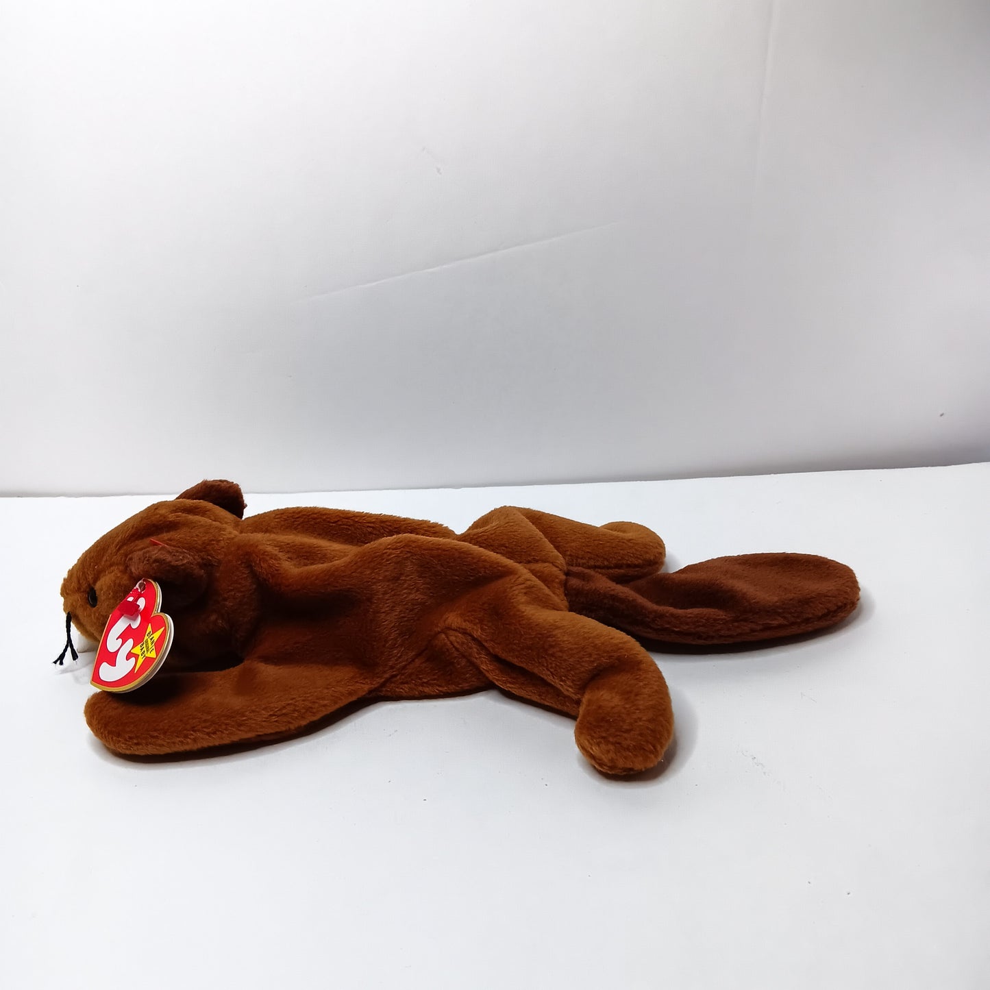 TY Beanie Baby - BUCKY the Beaver 8.5 inch With Tag Stuffed Animal Toy