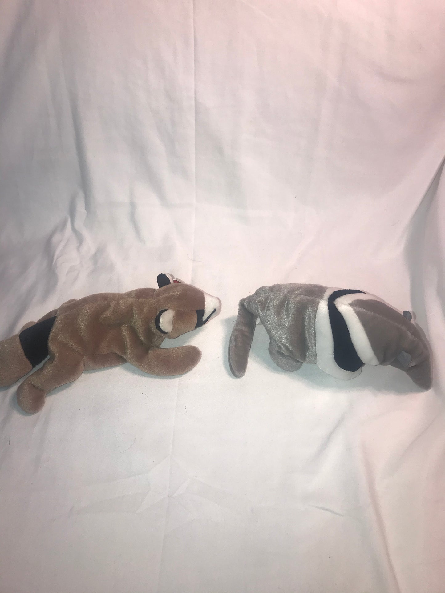 TY Beanie Baby - ANTS the Anteater (8.5 inch) MINT WITH ALL TAGS 1997/ ty beanie baby ringo the raccoon DOB 7.14.95